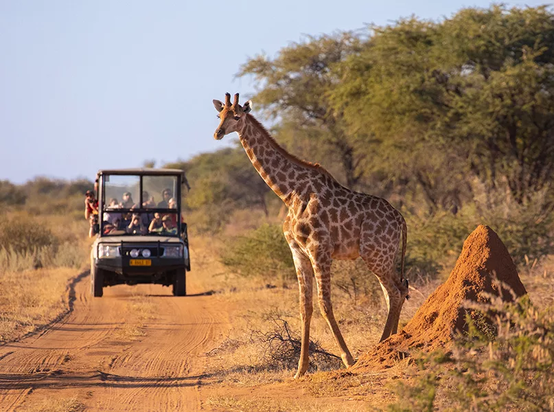 Home tourist and archaeological sites in kenya 2026